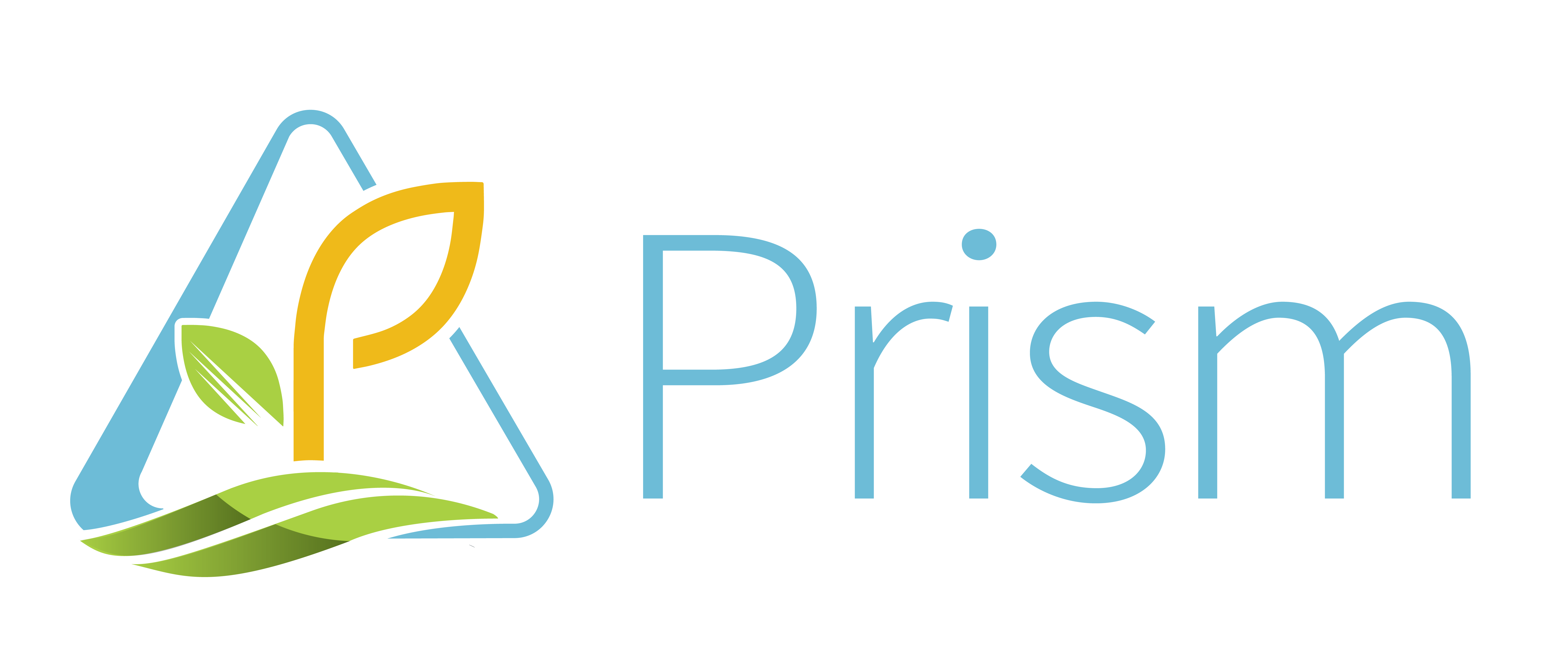Prism Logo